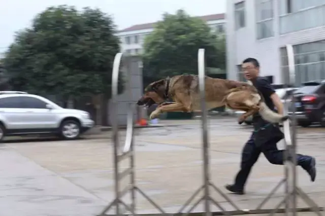 为什么篮球教练的经验很重要_2