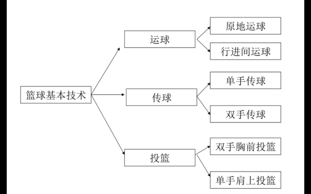 哪里可以找到详细的篮球训练与发展蓝图